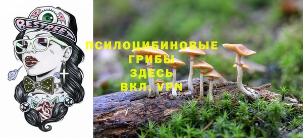 Альфа ПВП Нефтекумск