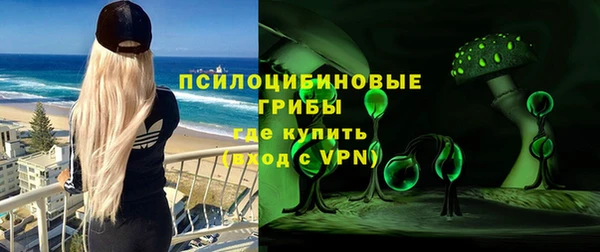 spice Арсеньев