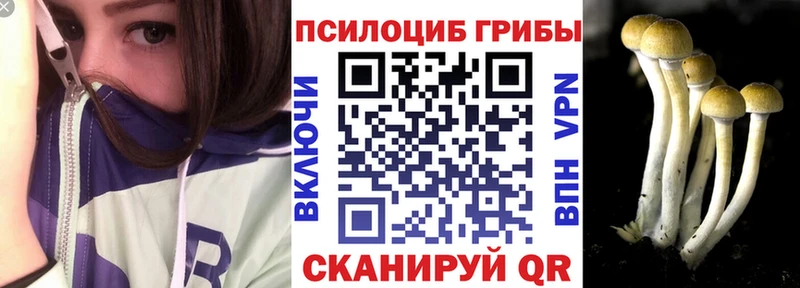 Галлюциногенные грибы Magic Shrooms  цены наркотик  Приволжск 