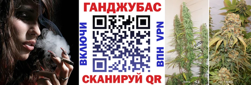 блэк спрут ссылки  Приволжск  Канабис гибрид  дарнет шоп 